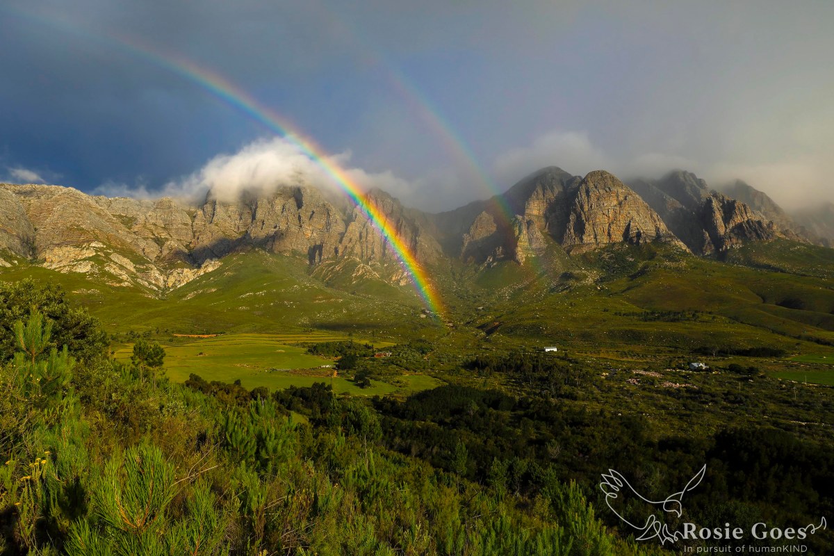 How 2020 and 2021 are the years I ‘surrendered to’ for there to be&nbsp;change.