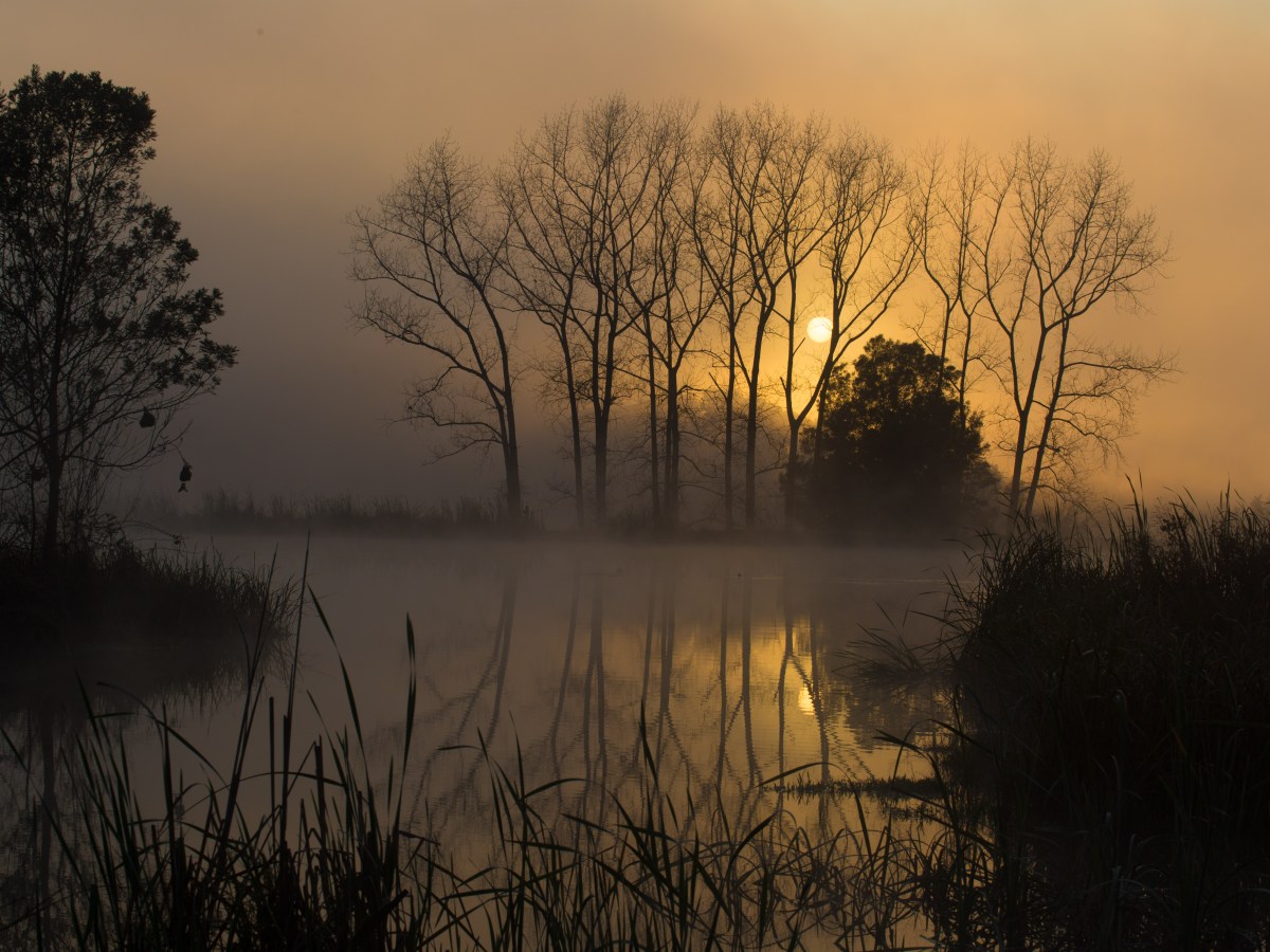 From Endings to New Beginnings: My&nbsp;Story