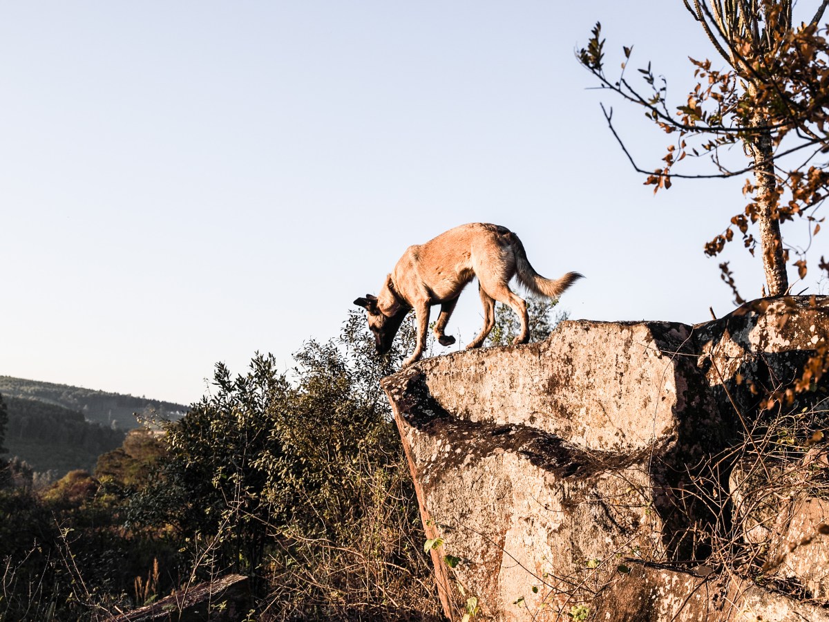 Does your perspective keep you stuck or does it empower you to go&nbsp;forward?