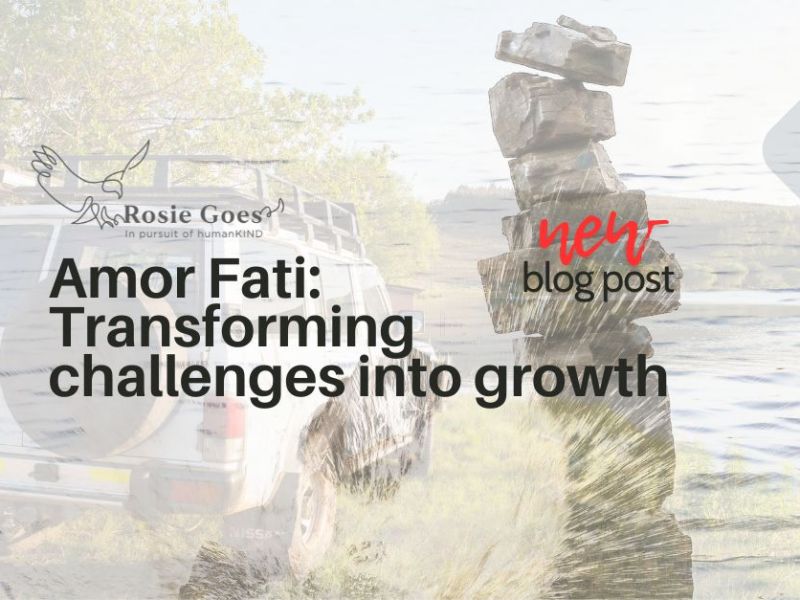 Amor Fati: Transforming Challenges into&nbsp;Growth